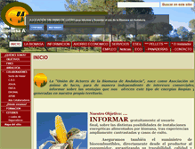 Tablet Screenshot of biomasaandalucia.com